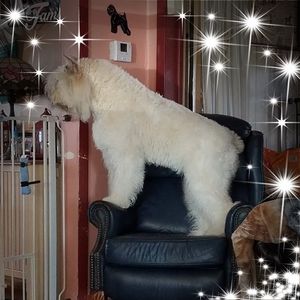 Meet your Posher, Gail